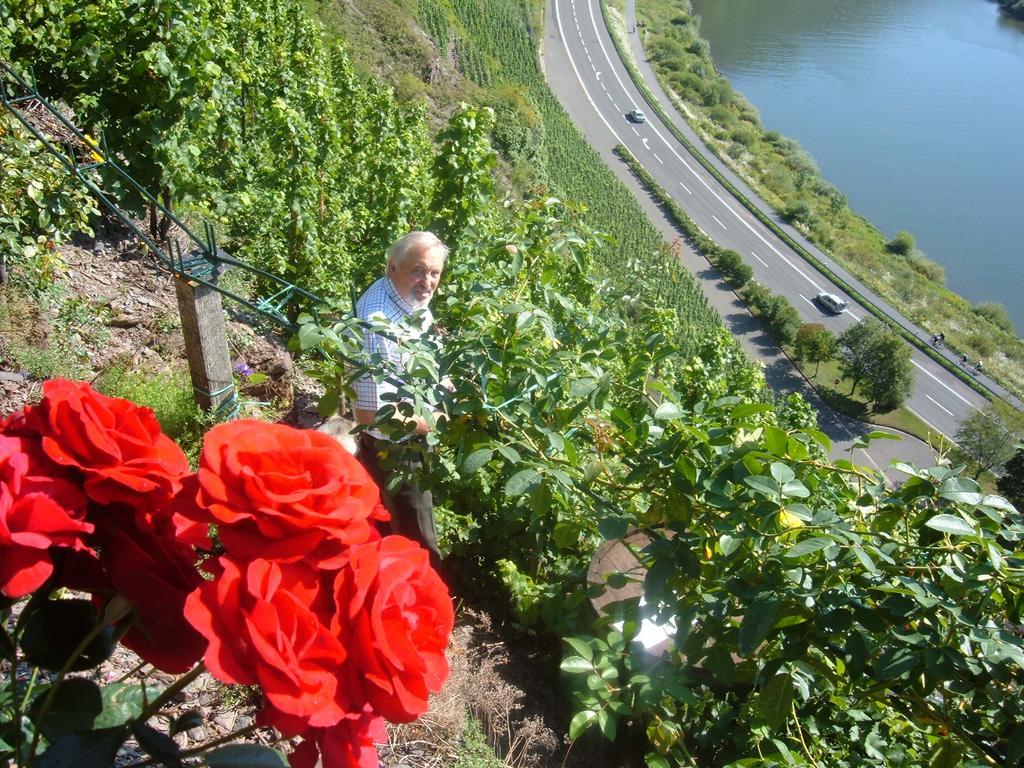 Kleines Winzerhauschen Villa Bremm Phòng bức ảnh