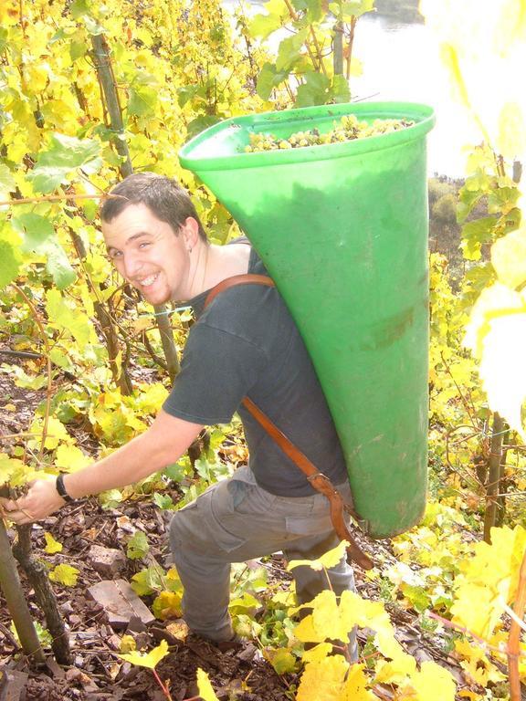 Kleines Winzerhauschen Villa Bremm Phòng bức ảnh