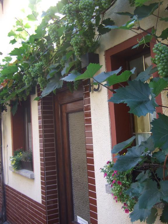 Kleines Winzerhauschen Villa Bremm Ngoại thất bức ảnh