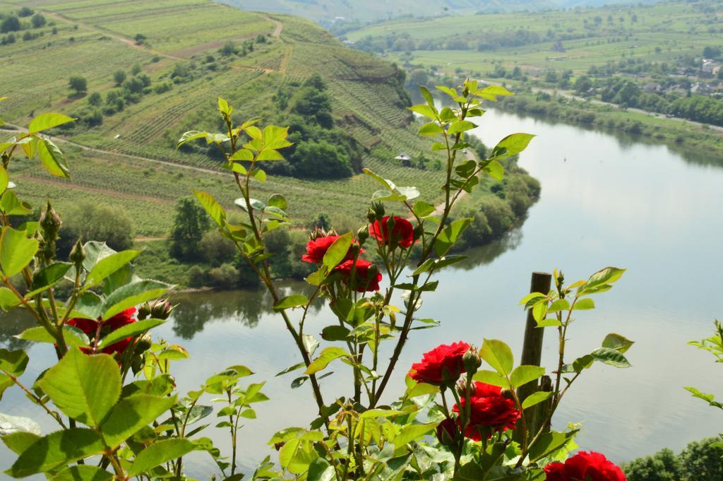 Kleines Winzerhauschen Villa Bremm Ngoại thất bức ảnh